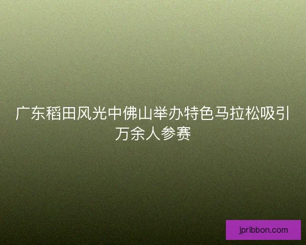 广东稻田风光中佛山举办特色马拉松吸引万余人参赛