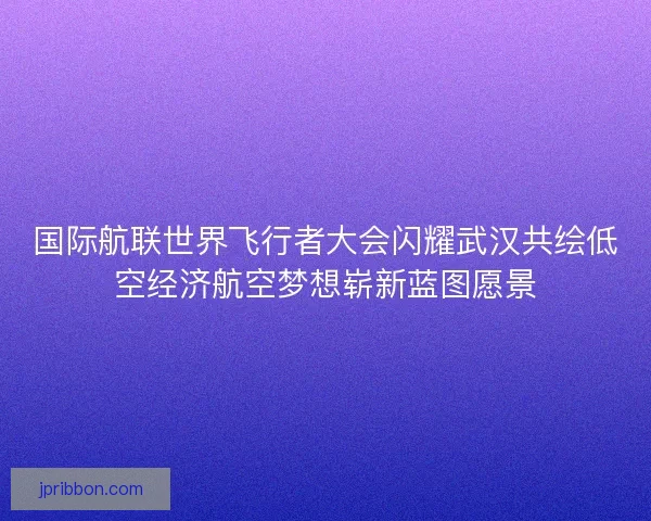 国际航联世界飞行者大会闪耀武汉共绘低空经济航空梦想崭新蓝图愿景