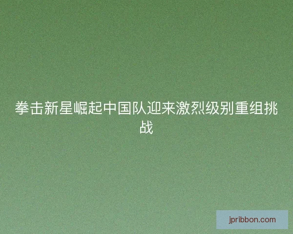 拳击新星崛起中国队迎来激烈级别重组挑战 拳击新星崛起中国队迎来激烈级别重组挑战